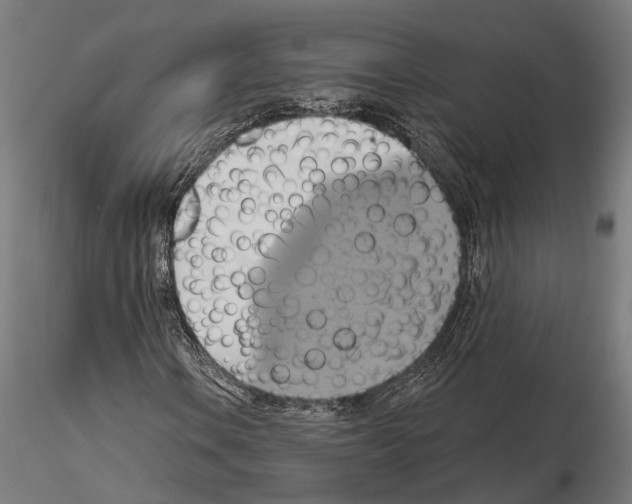 X0000115091106200912081228