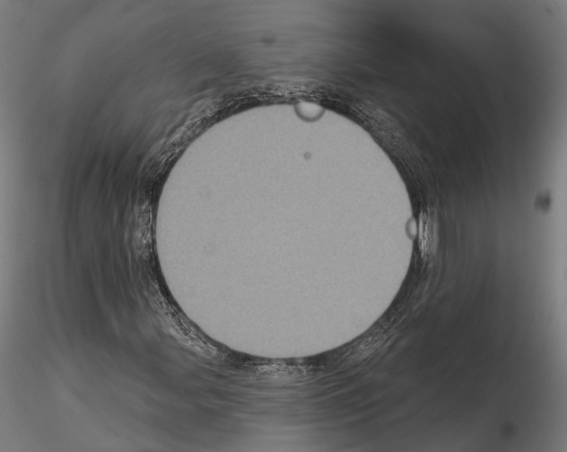 X0000115091107200912081228