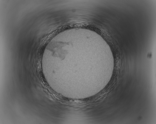 X0000115091109200912081228