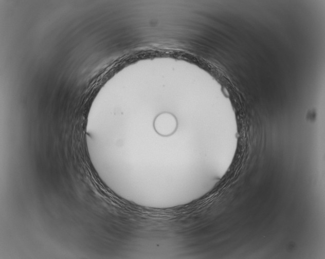 X0000115091110200912081228