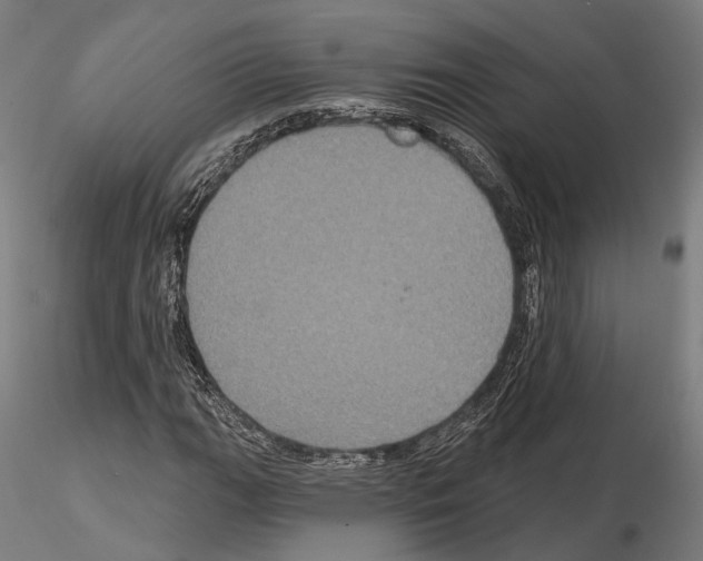 X0000115091111200912081228