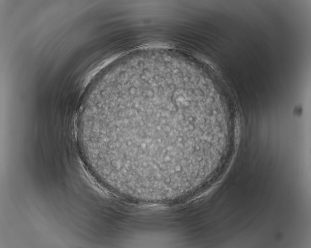 X0000115091113200912081228