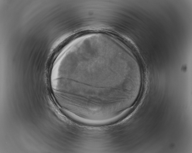 X0000115091114200912081228
