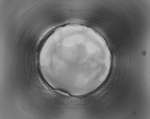 X0000115091115200912081228