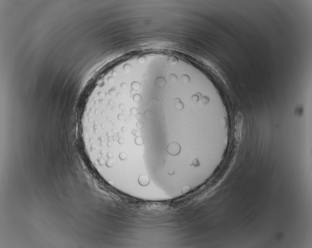 X0000115091117200912081228