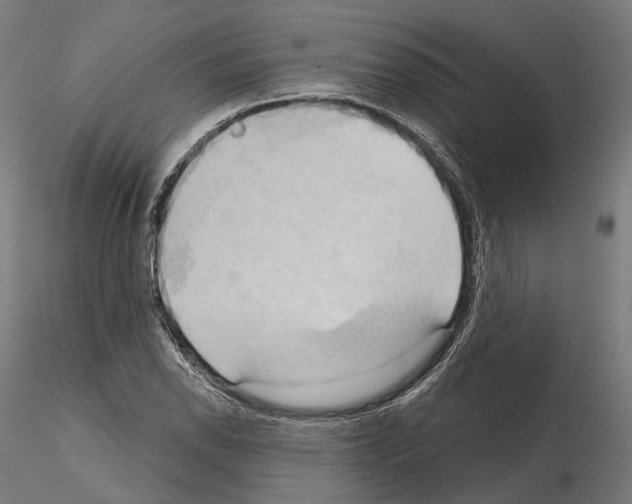 X0000115091118200912081228