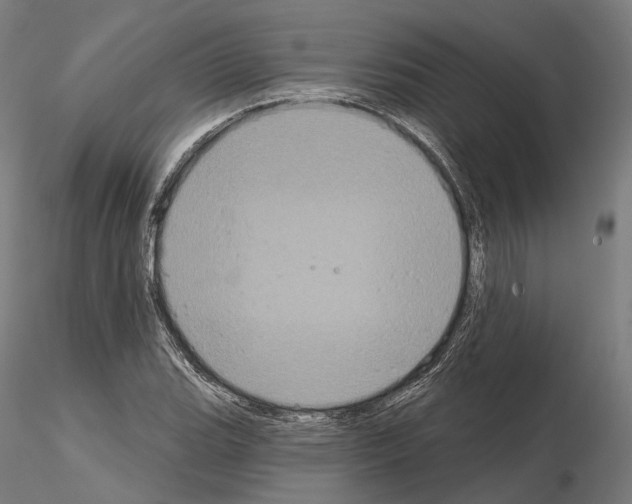 X0000115091119200912081228