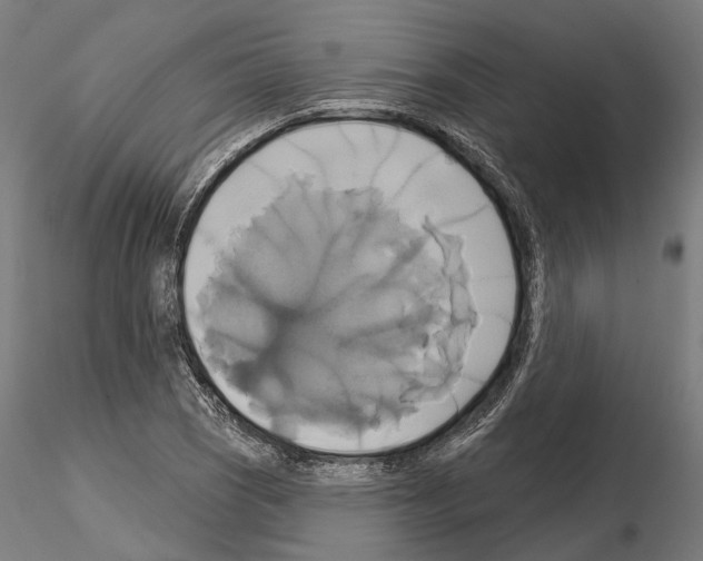 X0000115091121200912081228