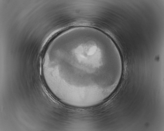 X0000115091123200912081228