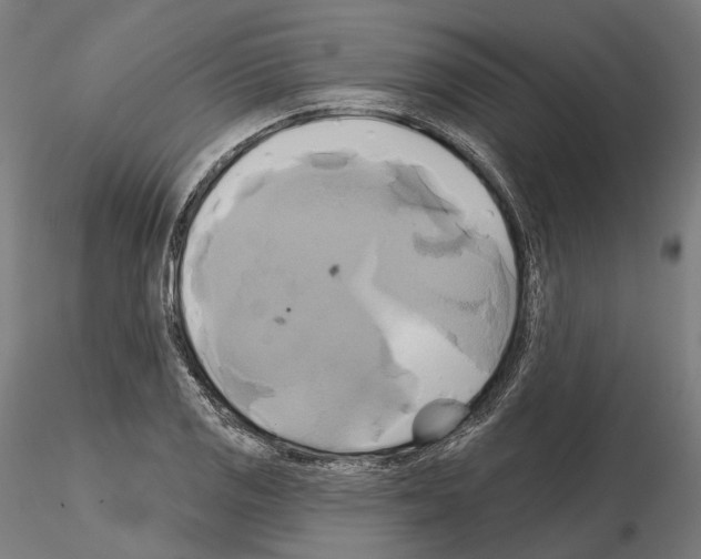 X0000115091125200912081229