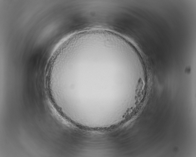 X0000115091126200912081229