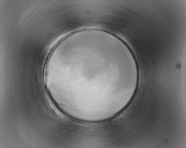 X0000115091127200912081229