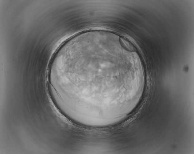 X0000115091133200912081229
