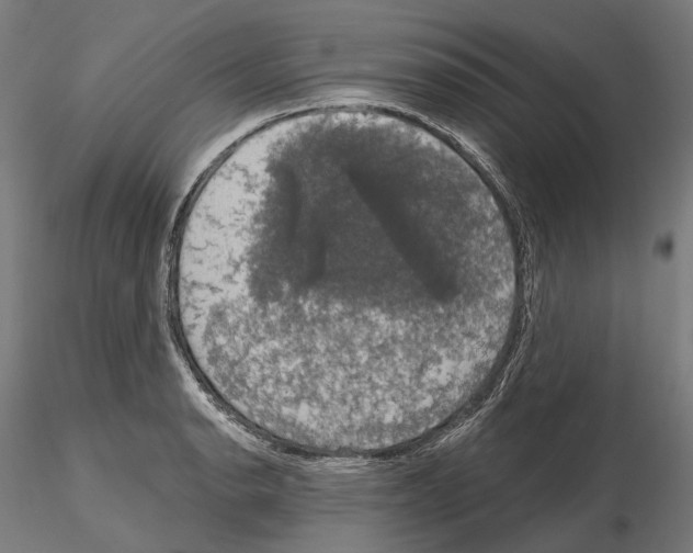 X0000115091134200912081229