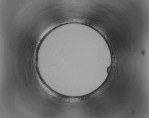 X0000115091135200912081229