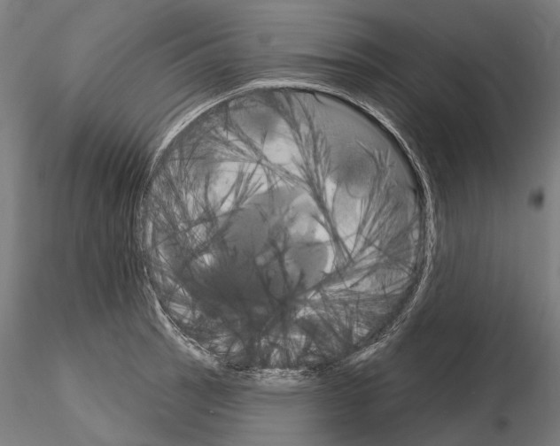 X0000115091137200912081229