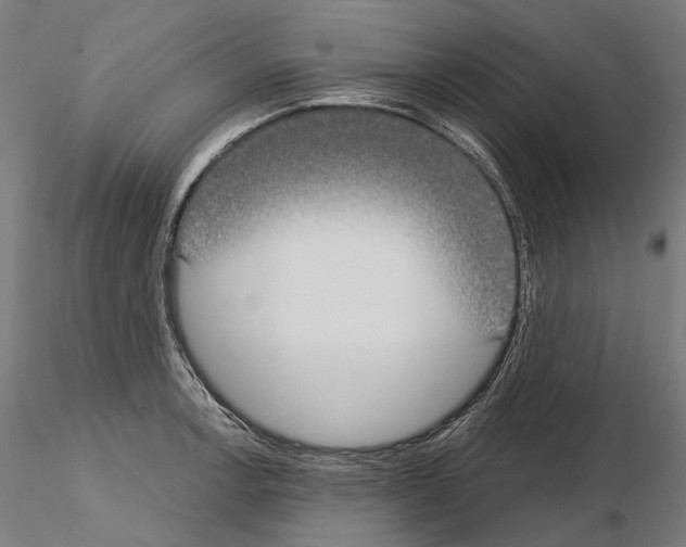 X0000115091138200912081229