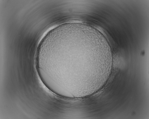 X0000115091139200912081229