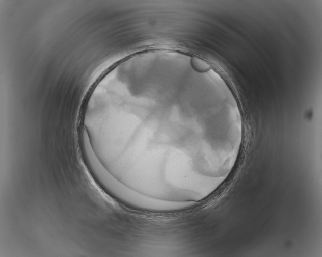 X0000115091141200912081229