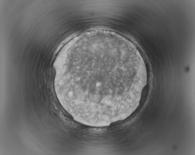 X0000115091145200912081229