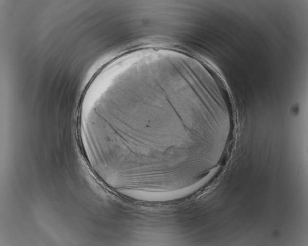 X0000115091146200912081229