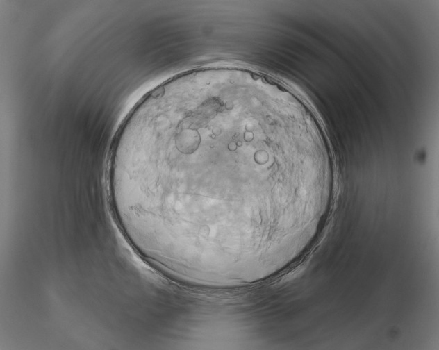 X0000115091149200912081229