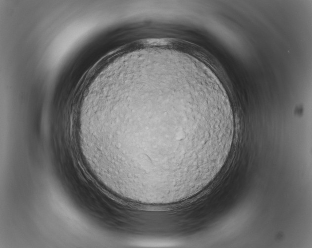 X0000115091151200912081229