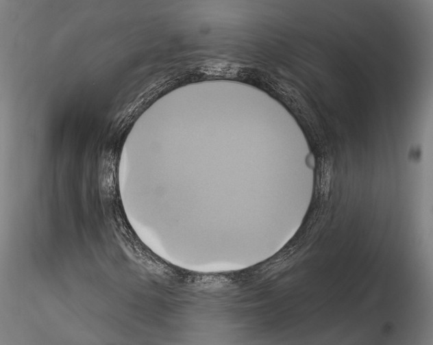 X0000115091154200912081228