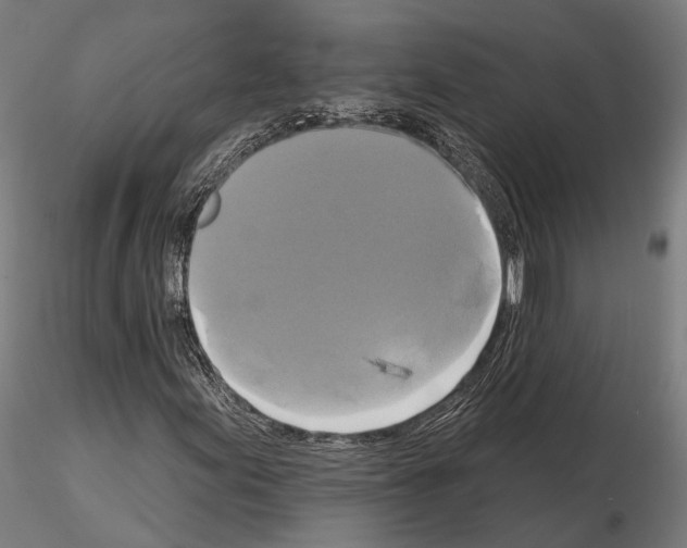 X0000115091155200912081228