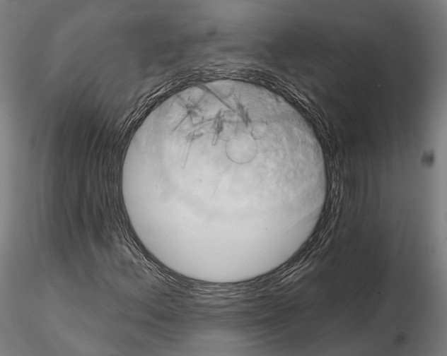 X0000115091156200912081228