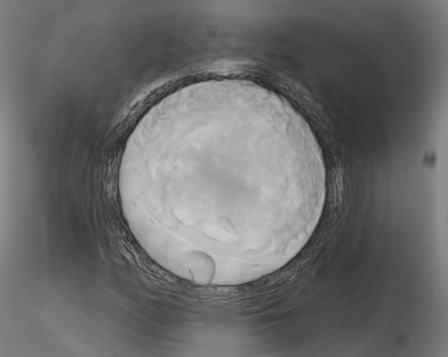 X0000115091158200912081228