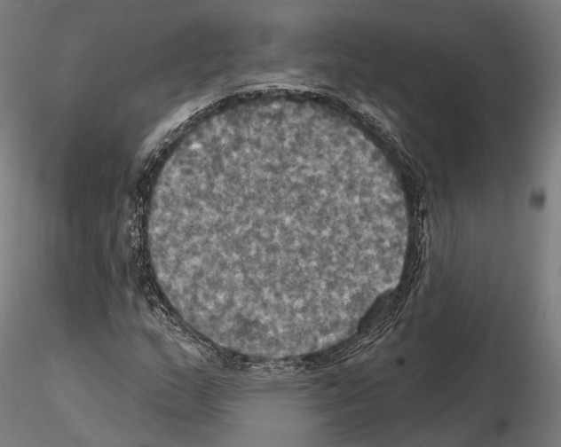 X0000115091159200912081228