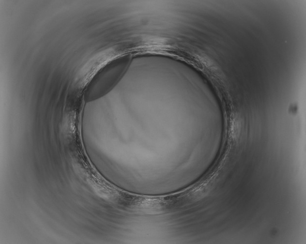X0000115091161200912081228