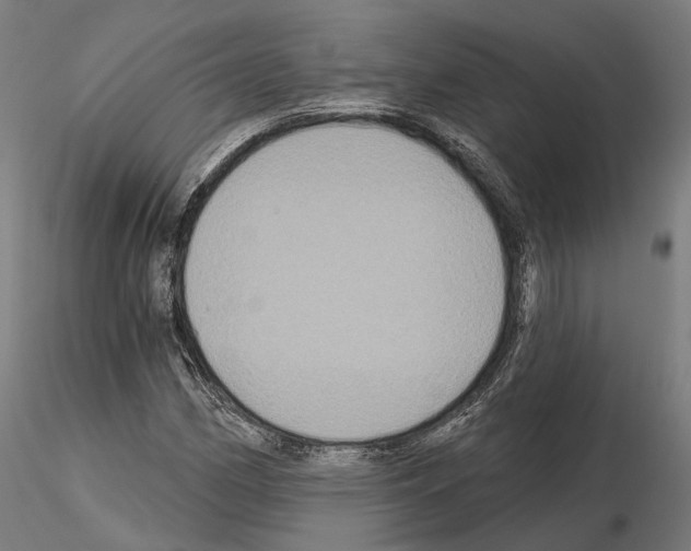 X0000115091162200912081228
