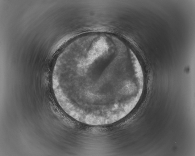 X0000115091163200912081228