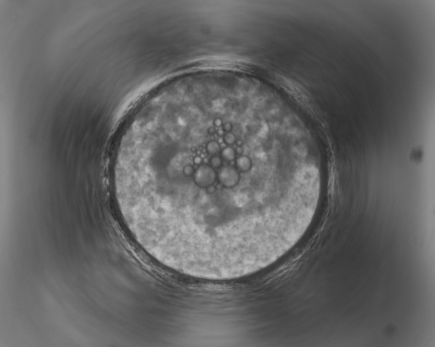 X0000115091164200912081228