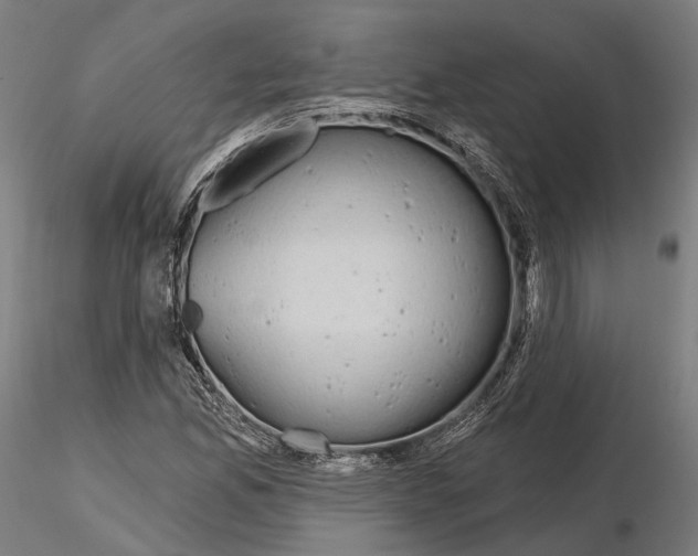 X0000115091165200912081228