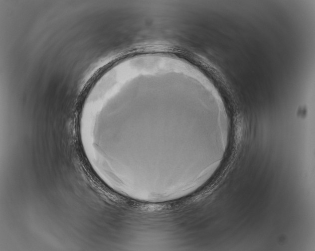 X0000115091166200912081228