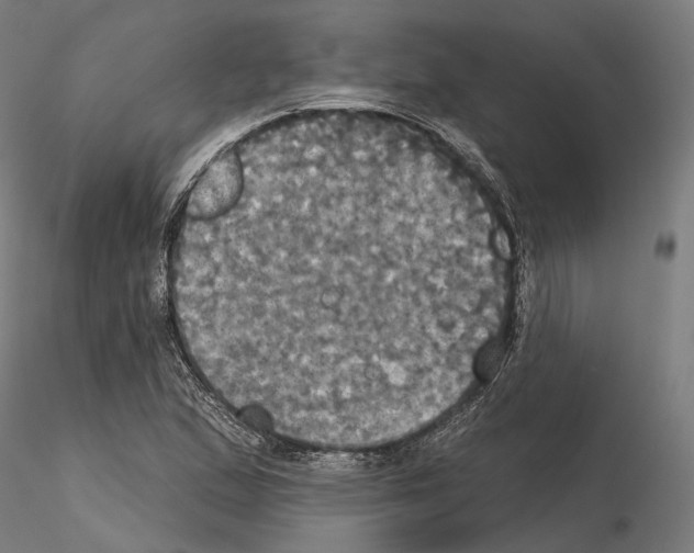 X0000115091167200912081228