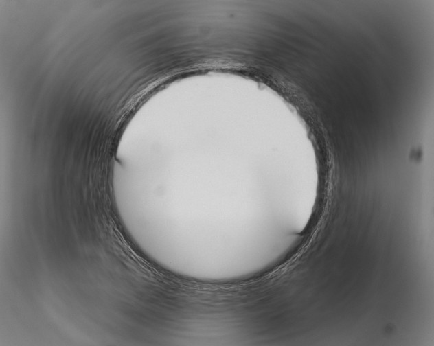 X0000115091169200912081228