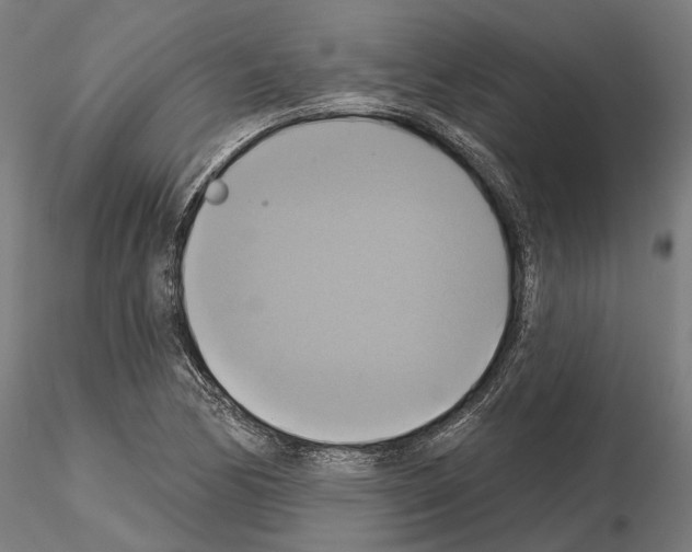 X0000115091170200912081228