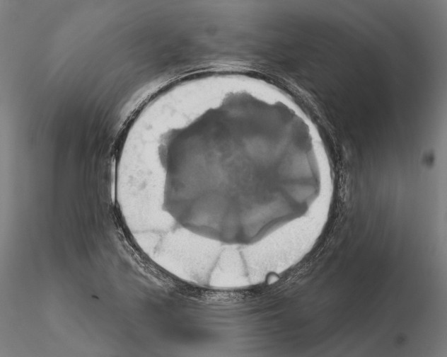X0000115091171200912081228
