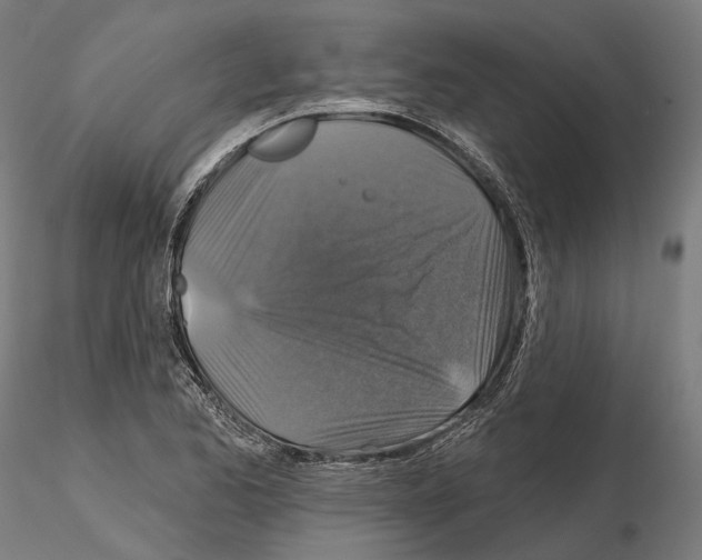 X0000115091173200912081228