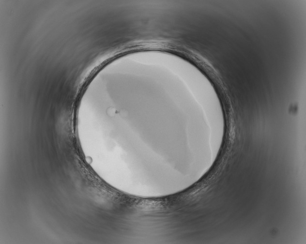 X0000115091174200912081228