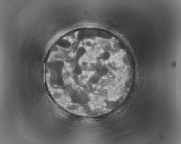 X0000115091175200912081228