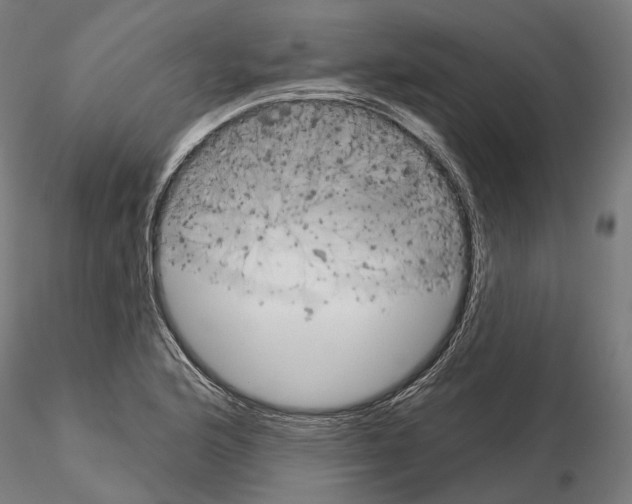 X0000115091176200912081228
