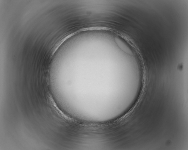 X0000115091177200912081228