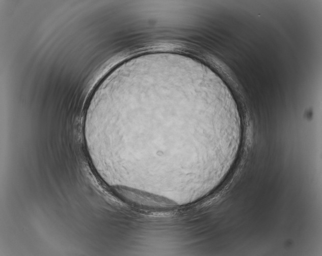X0000115091178200912081228