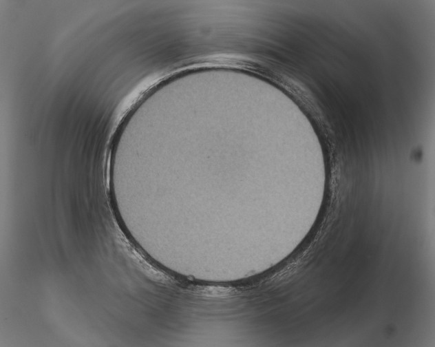 X0000115091180200912081228