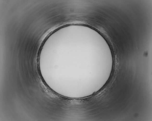 X0000115091181200912081227